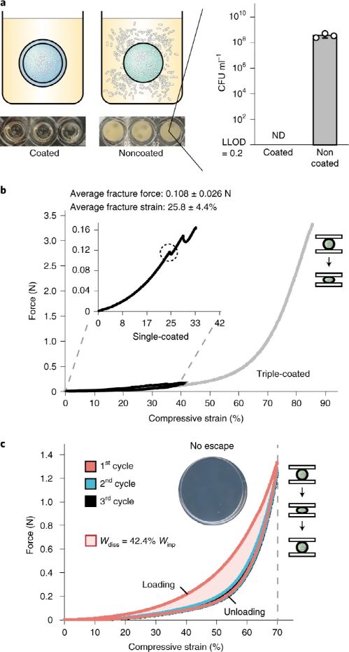 麻省理工學(xué)院趙選賀Nature子刊 基于細(xì)菌的水凝膠生物容器,可進行連續(xù)感測和計算
