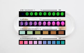 媽媽問我為什么紋身,當(dāng)然是 為了健康 啊