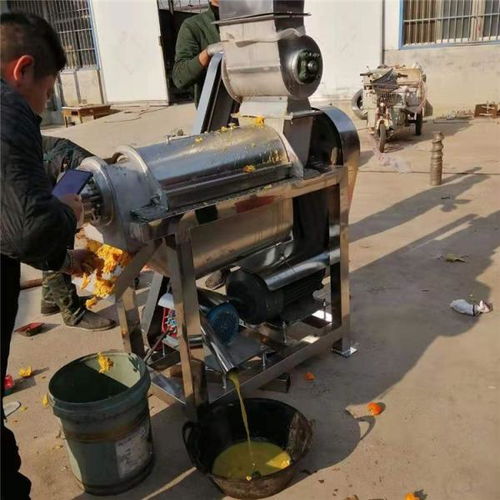 溫州工業(yè)果蔬榨汁機(jī) 創(chuàng)新定制生產(chǎn)與前沿生物感測器技術(shù)的融合